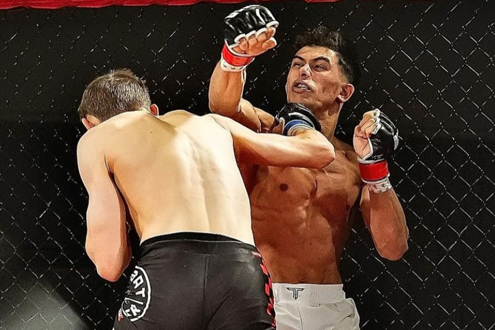 mixed martial arts tournament