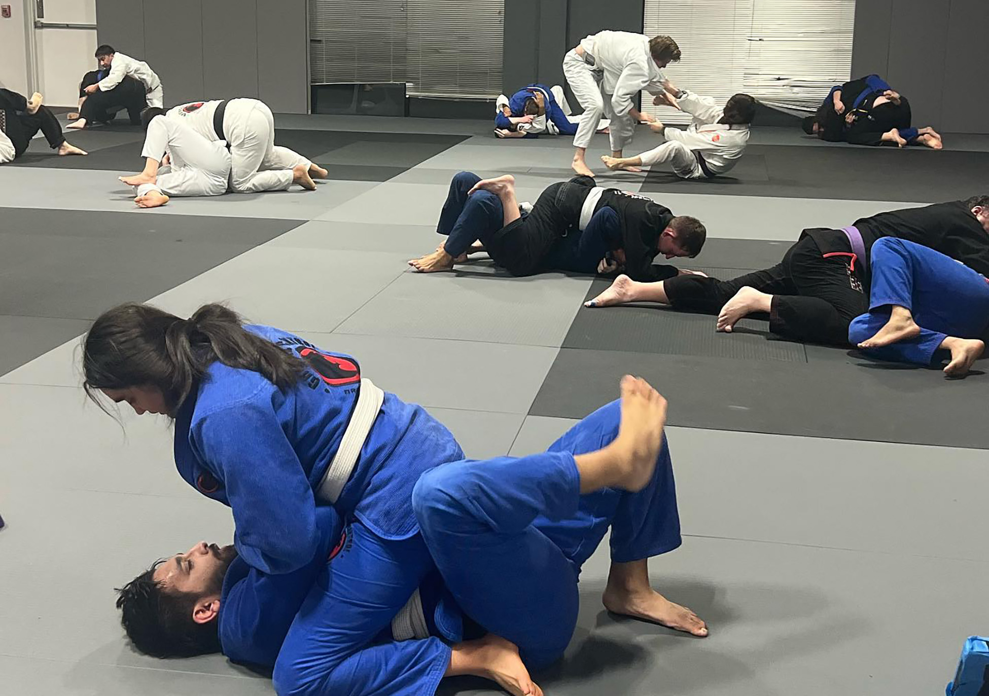 BJJ Skills in Competition